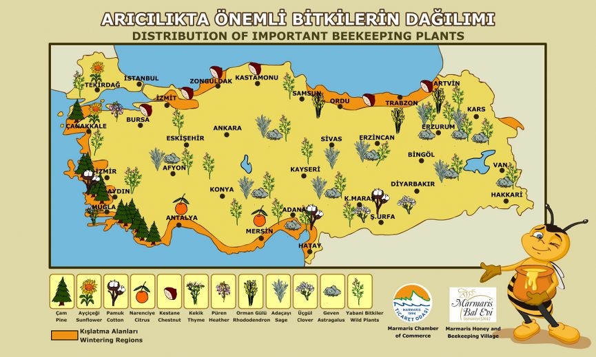 turkiye_aricilik_haritasi